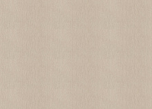 Коричневые обои для стен Rasch Golden Hour 941753